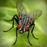 /album/kestchingecons/photolia-a01-jpg/