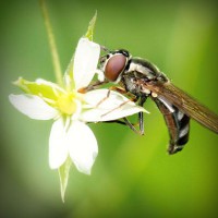 /album/kestchingecons/photolia-a02-jpg/