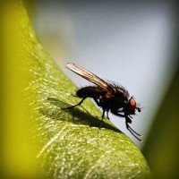 /album/kestchingecons/photolia-a04-jpg/