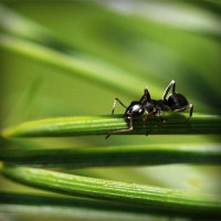 /album/kestchingecons/photolia-a05-jpg/