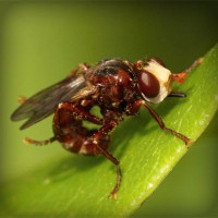 /album/kestchingecons/photolia-a06-jpg/