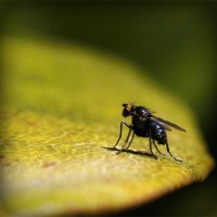 /album/kestchingecons/photolia-a07-jpg/