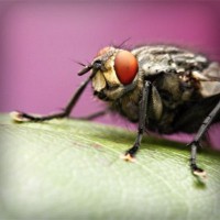 /album/kestchingecons/photolia-a08-jpg/